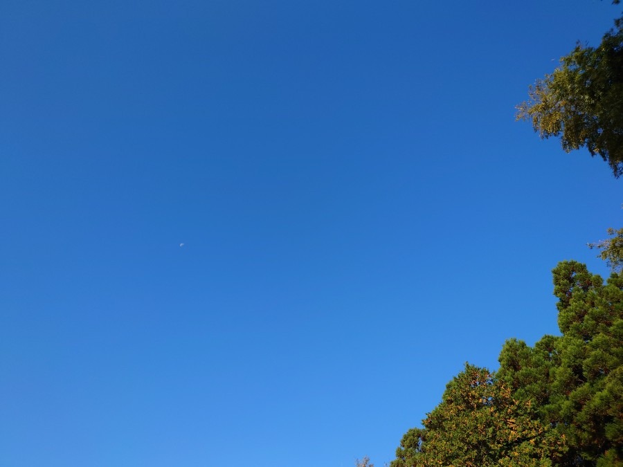 雲一つない青空❗🙂