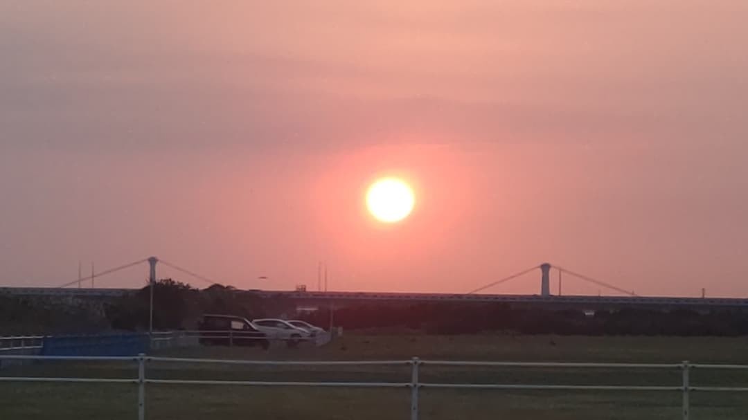 今日の朝陽🌅