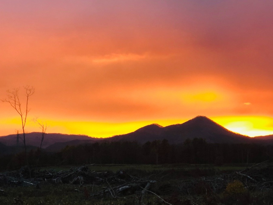 綺麗な夕焼け