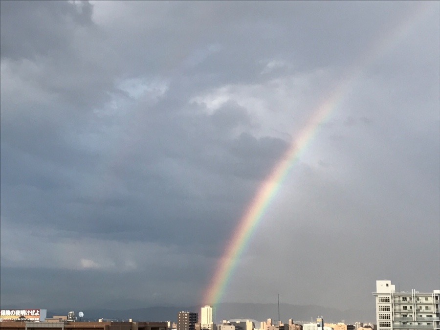 虹のかけ橋