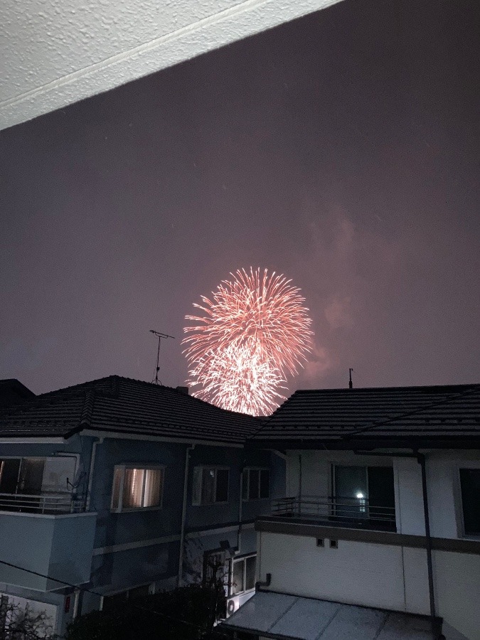 今年最後の花火ショー🎆