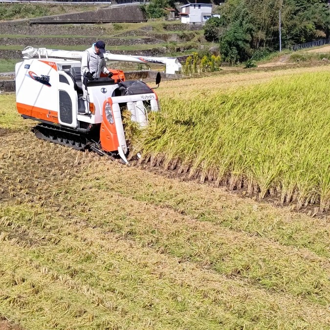 無農薬、循環農法野菜、米