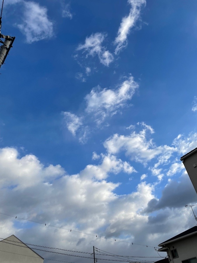 久しぶりに、今日の空😆😆