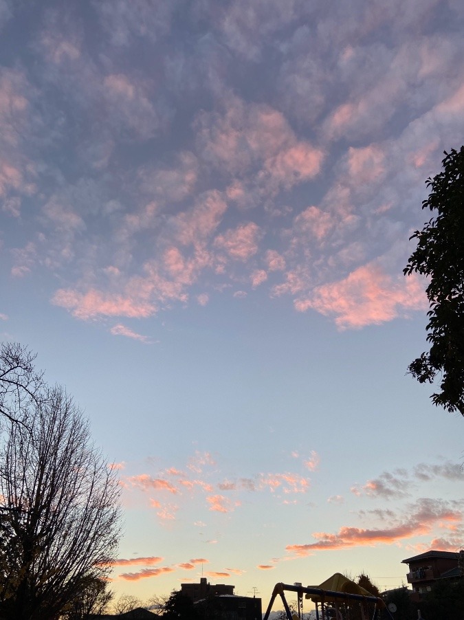 この雲、桜色？桃色？