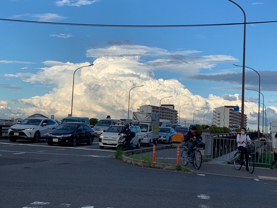 空に浮かぶ魚達