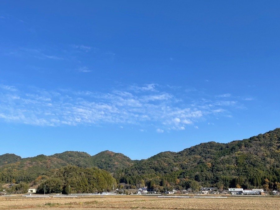 のどかな風景