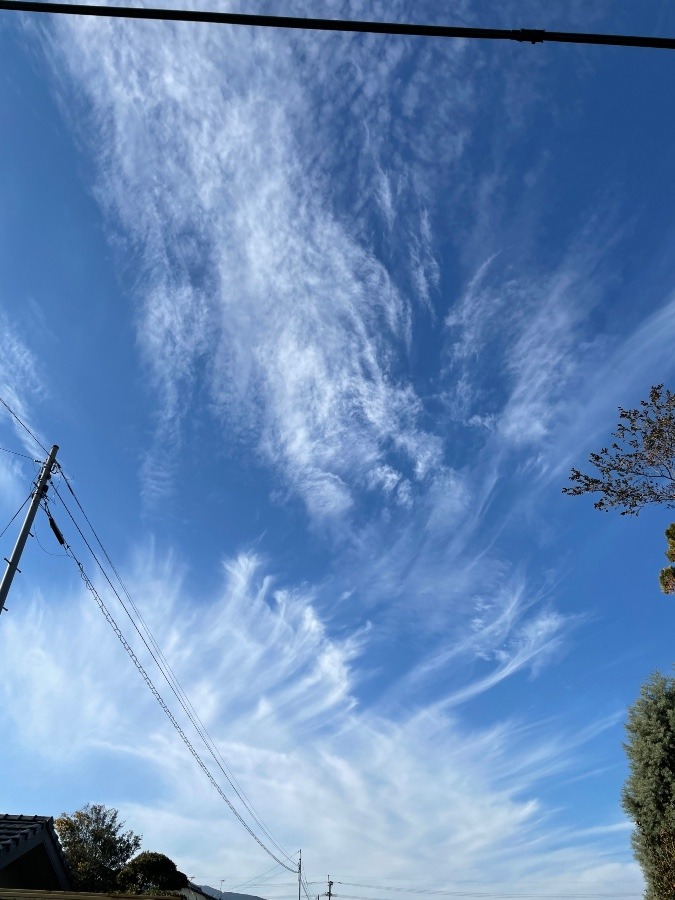 いま空〜筋雲