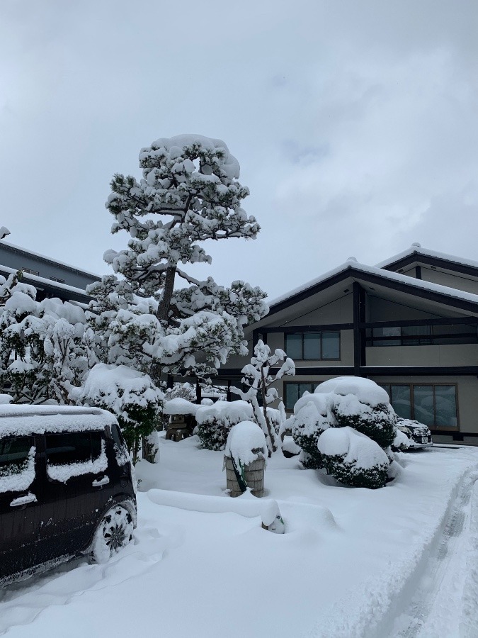 今年も寒波がやってきた！