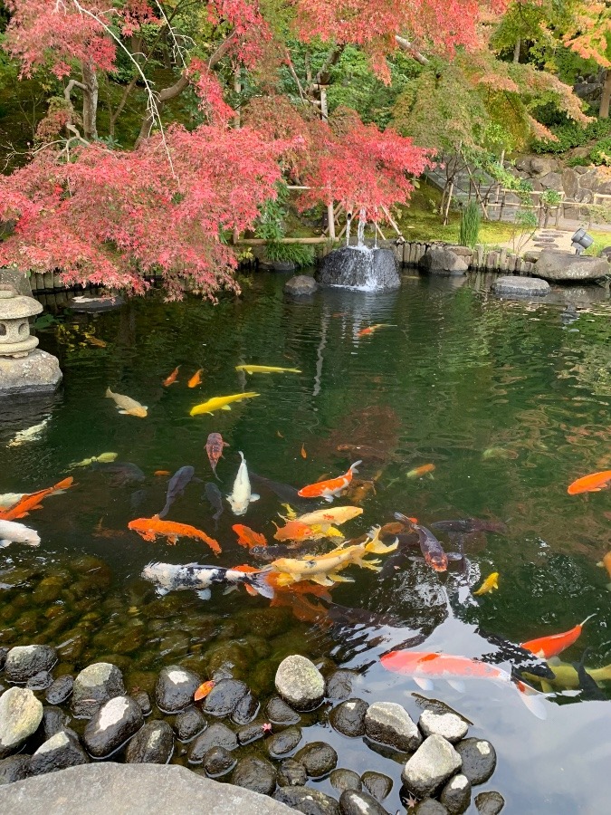 永遠に残したい自然の美