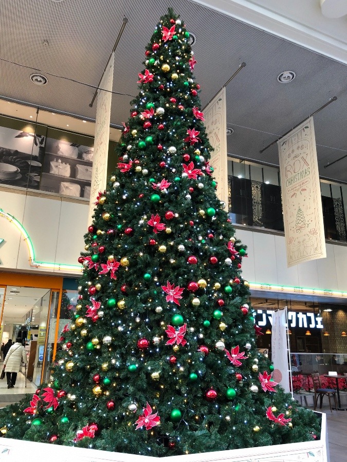 ✨メリークリスマス✨