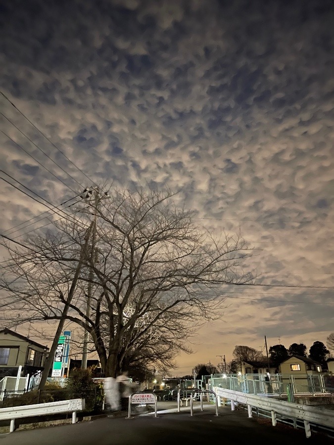 夜空が美しい。