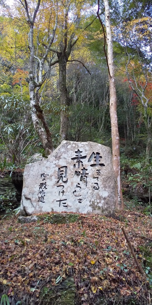 心の散歩道