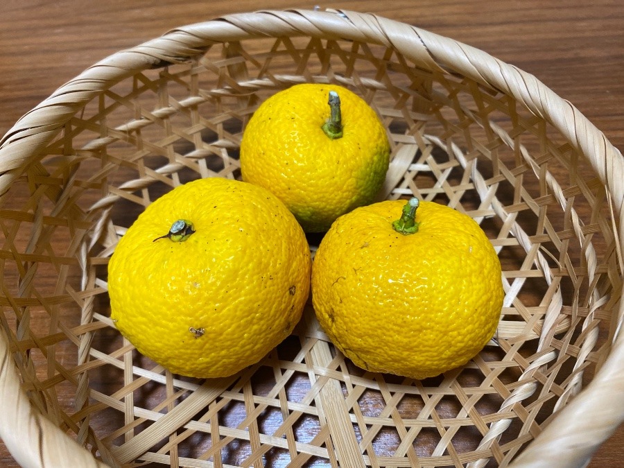 冬至🍋