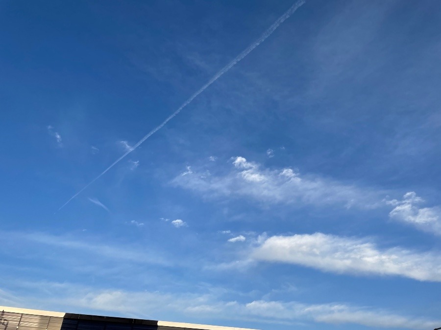 飛行機雲見たら、きっと😄✨