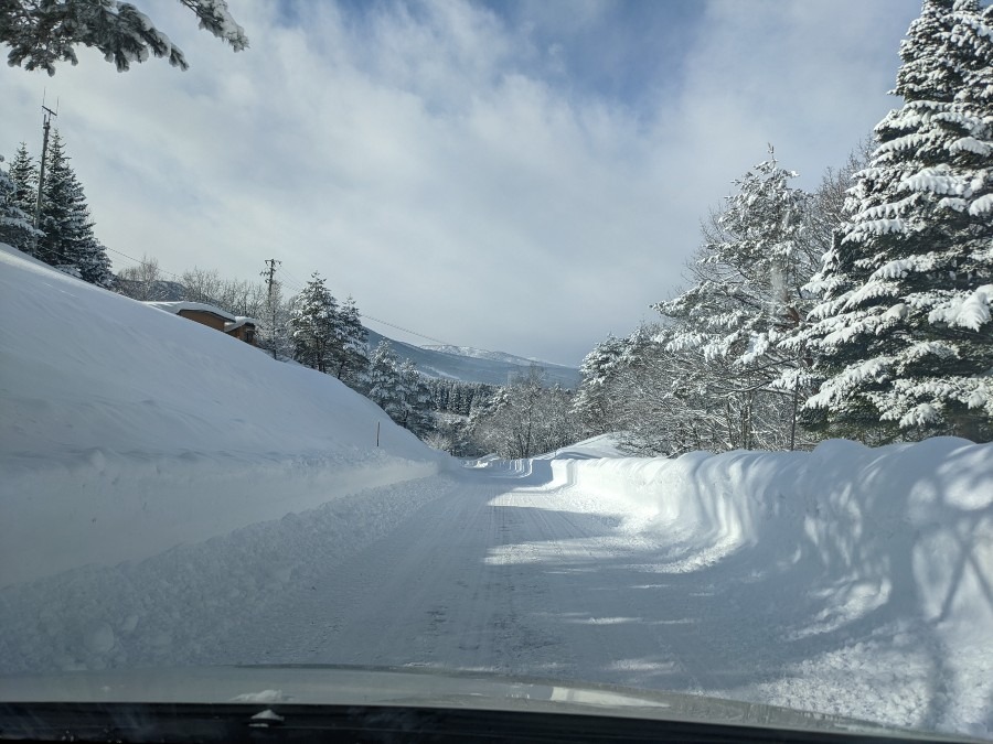 雪深いよ〜〜😅