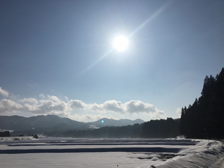 長岡1月  冬の晴れの日