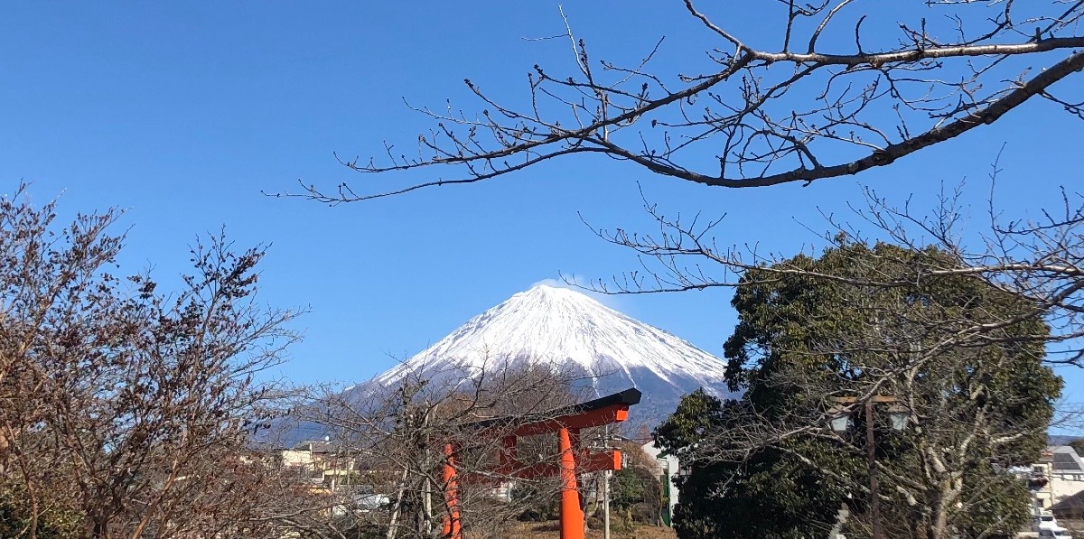 初詣に行ってきました