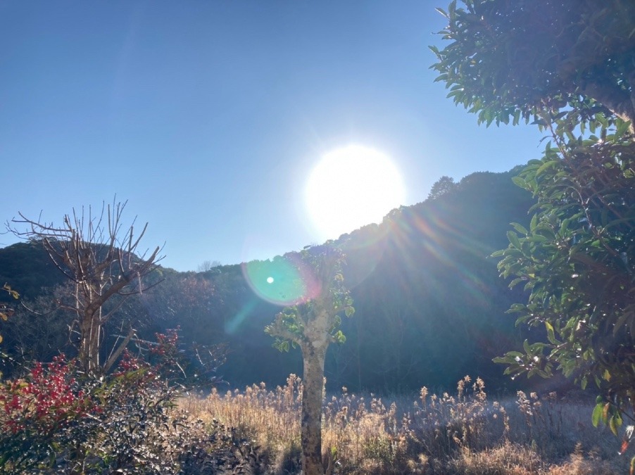 今年初めて見た太陽☀️