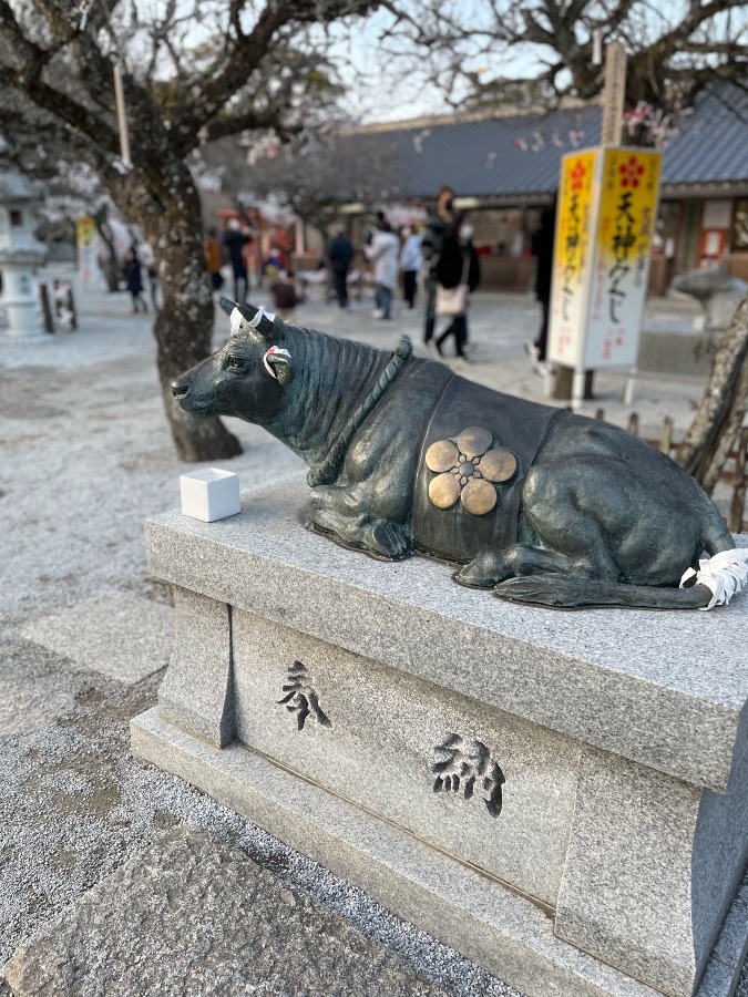 今年も宜しくお願いします