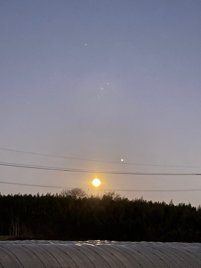 ウルフムーン(^^)/今日は満月🌕