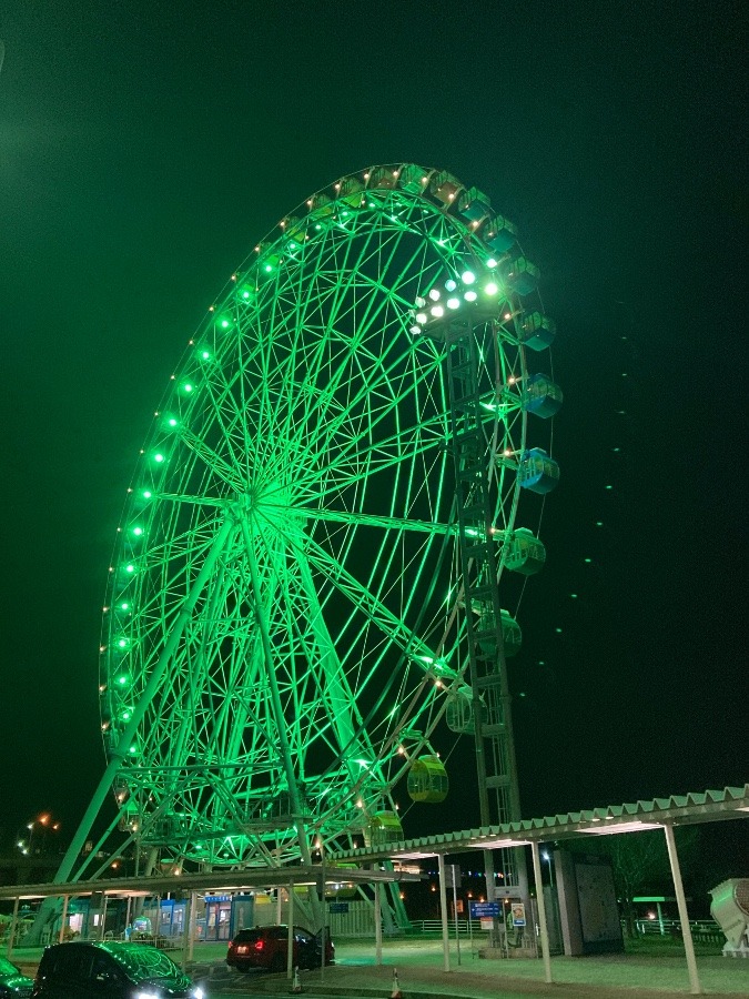 観覧車みどりチャン🎡