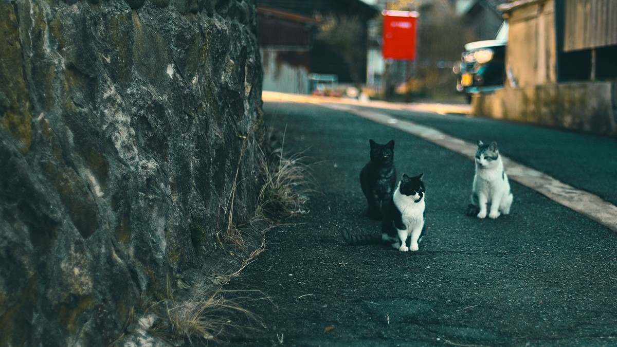 路地裏のギャング