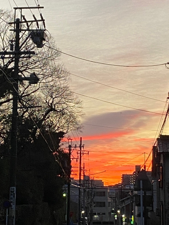 神様は芸術家🥰