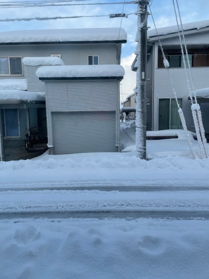 今年初の除雪車