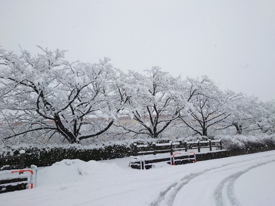 雪景色