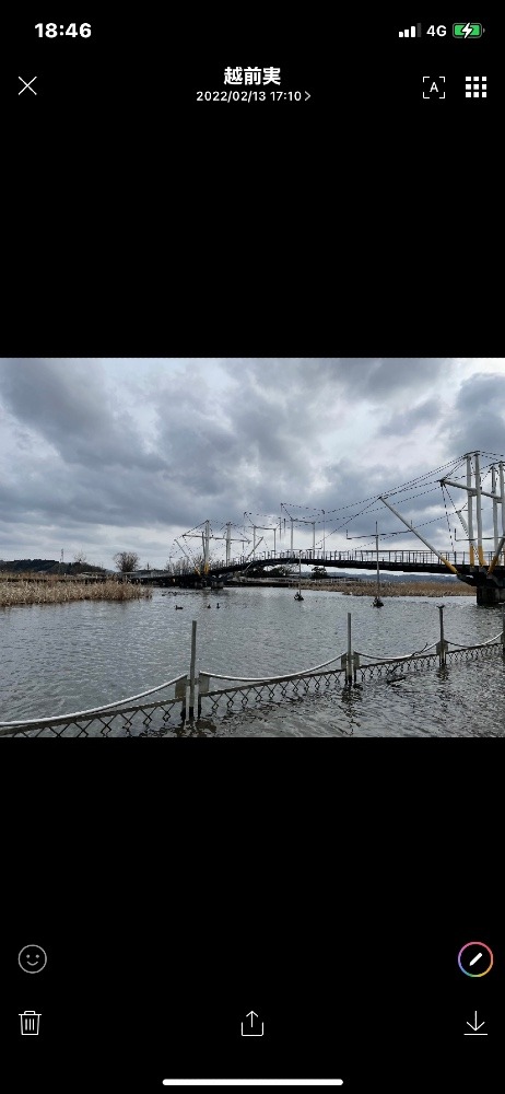 氷見の十二町潟水郷公園