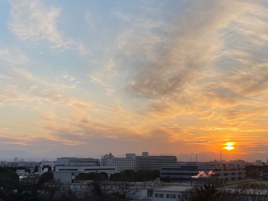 本日の夕陽