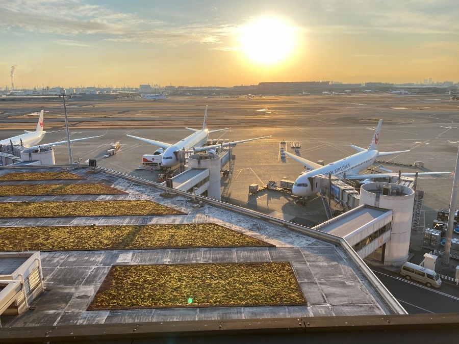 飛行機のある風景