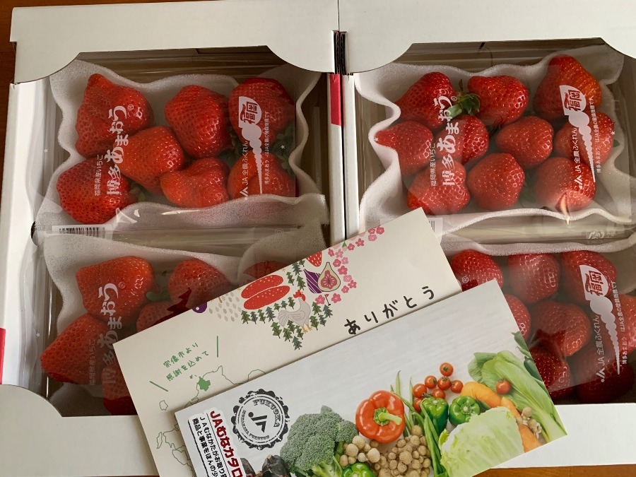 あまおう届いた🍓