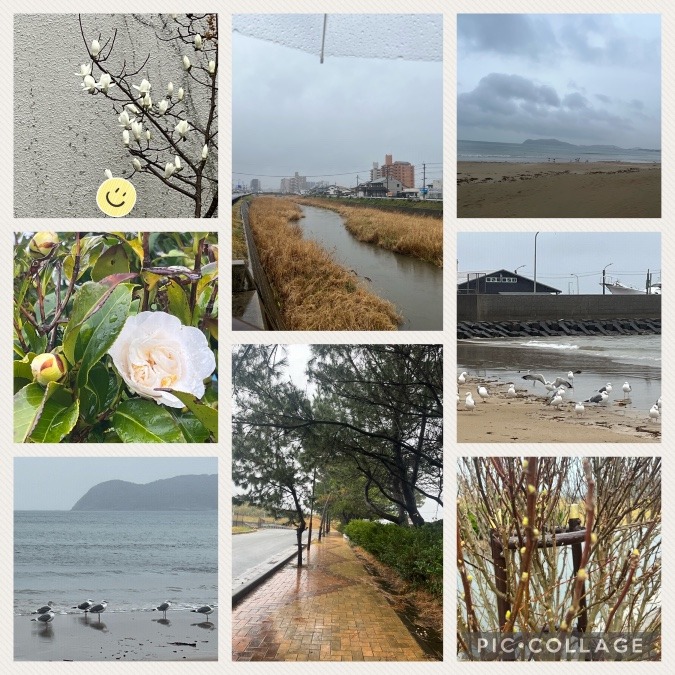 今日の朝活☔️