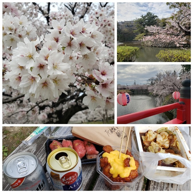 岡崎城桜まつり