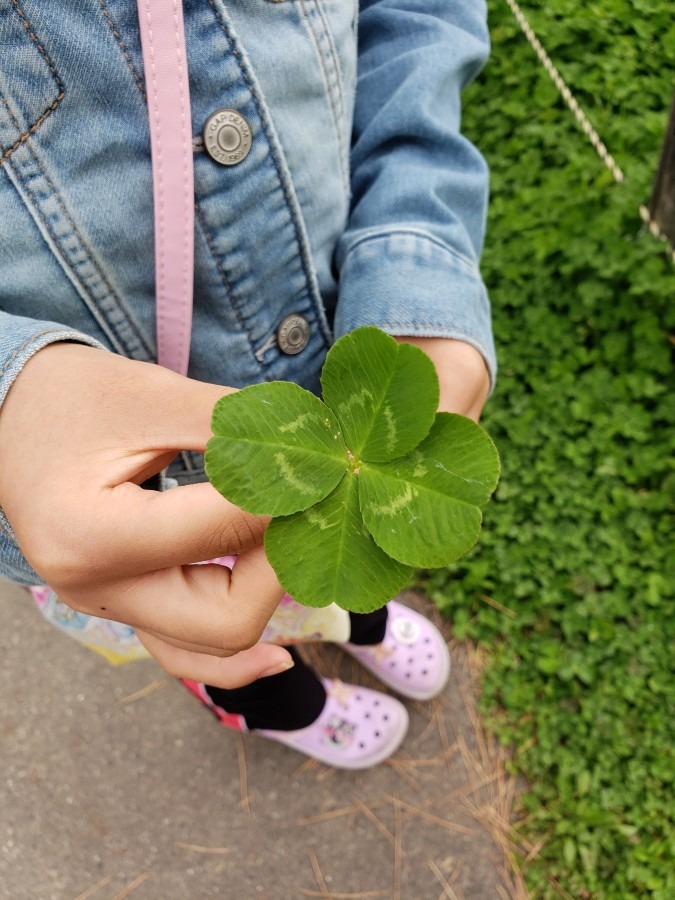 四つ葉🍀