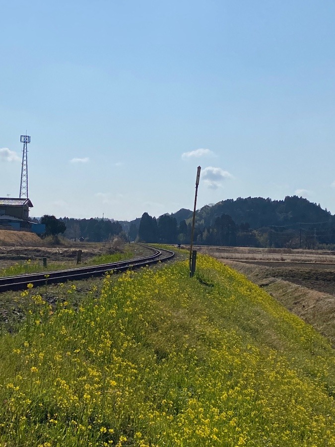 千葉県いすみ鉄道