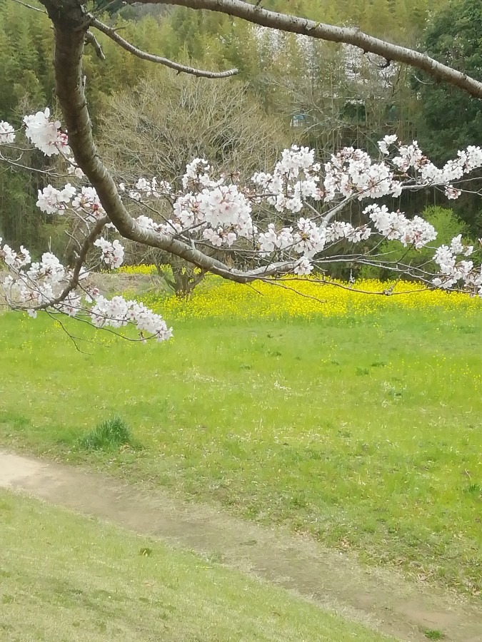 七瀬川公園②