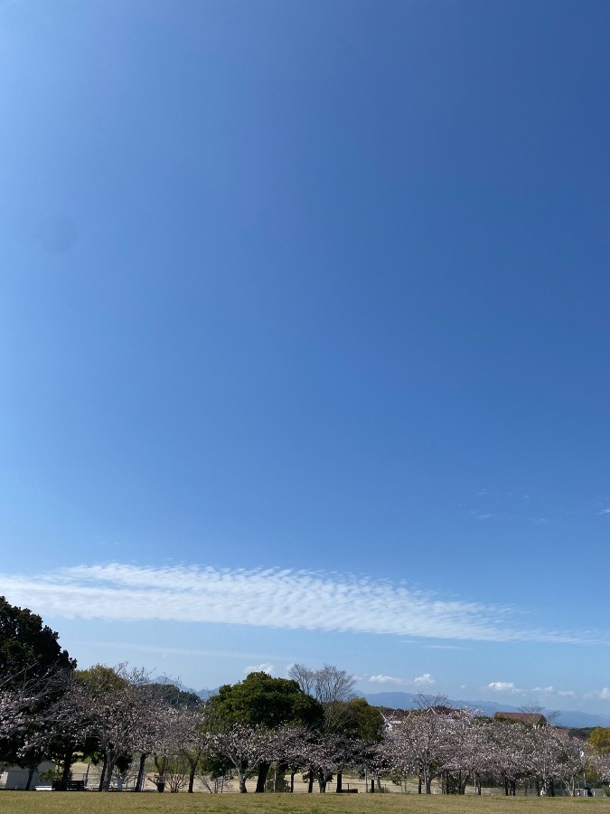 今空②