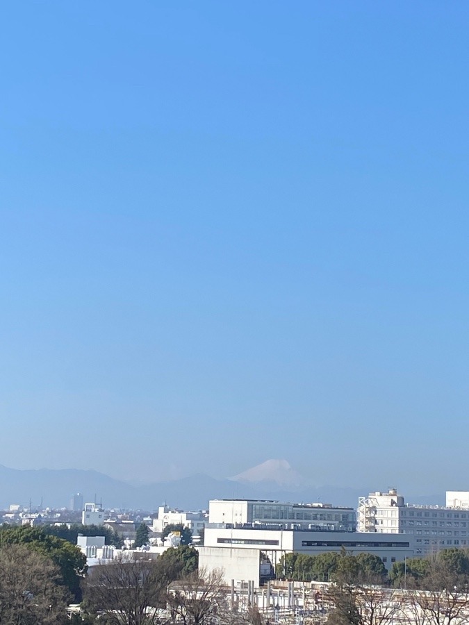 今日の富士山