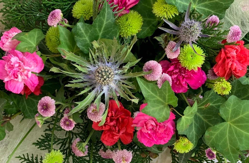 ポップな花と雑草💠