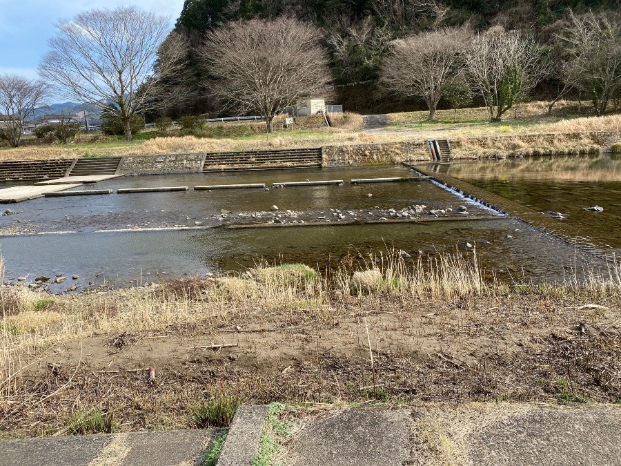 ばーちゃんので田舎17