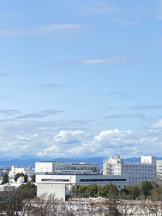 富士山未だ見えず