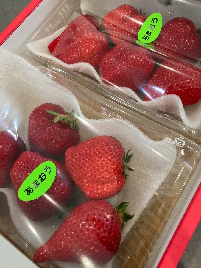 あまおう🍓