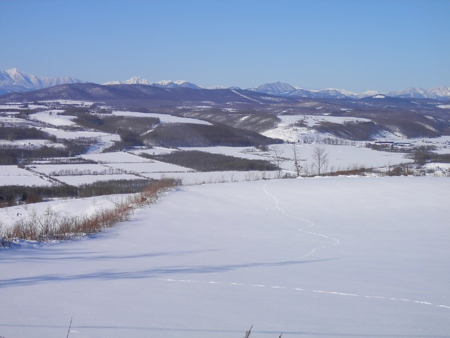 雪原の足跡