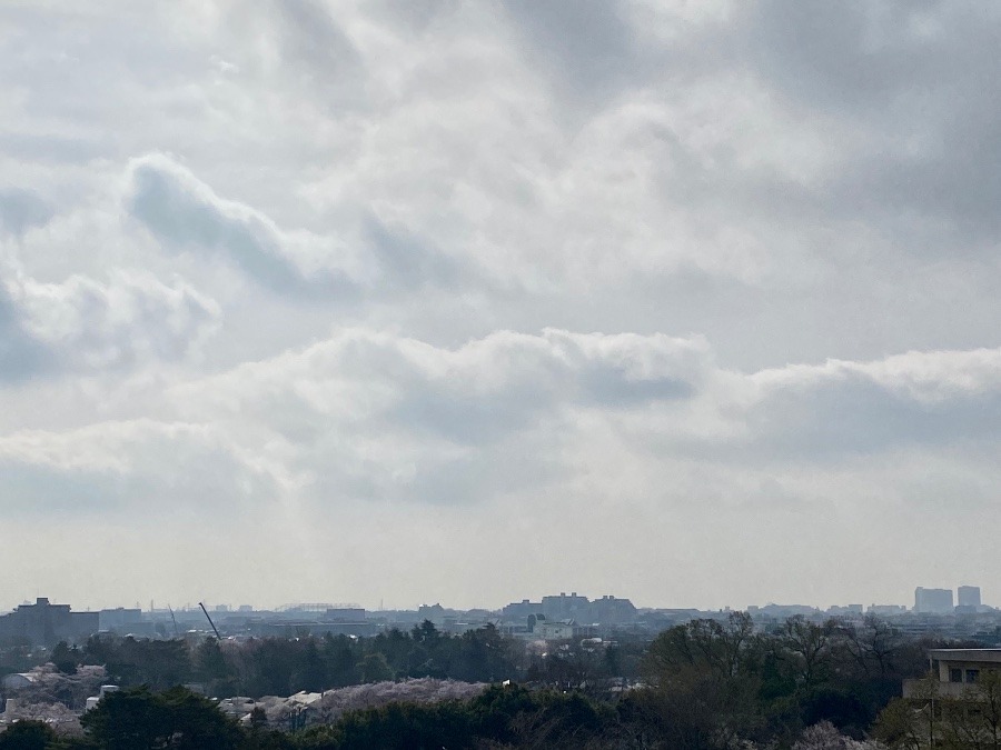 今朝の東の空