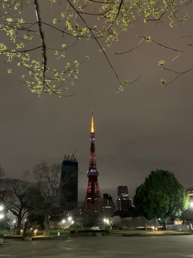 0:00の東京タワー