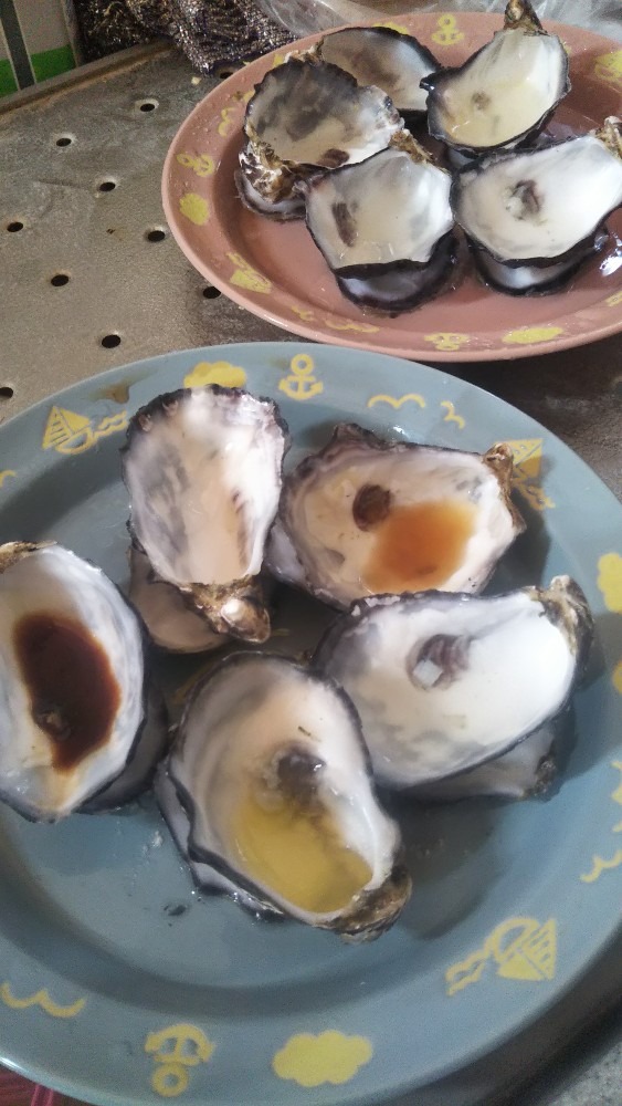 生牡蠣、食べました