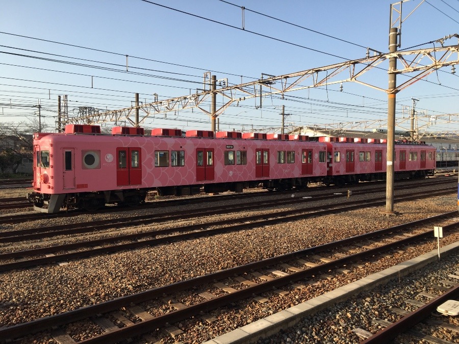 💕お❣️めで鯛列車　🎉🌈🚌