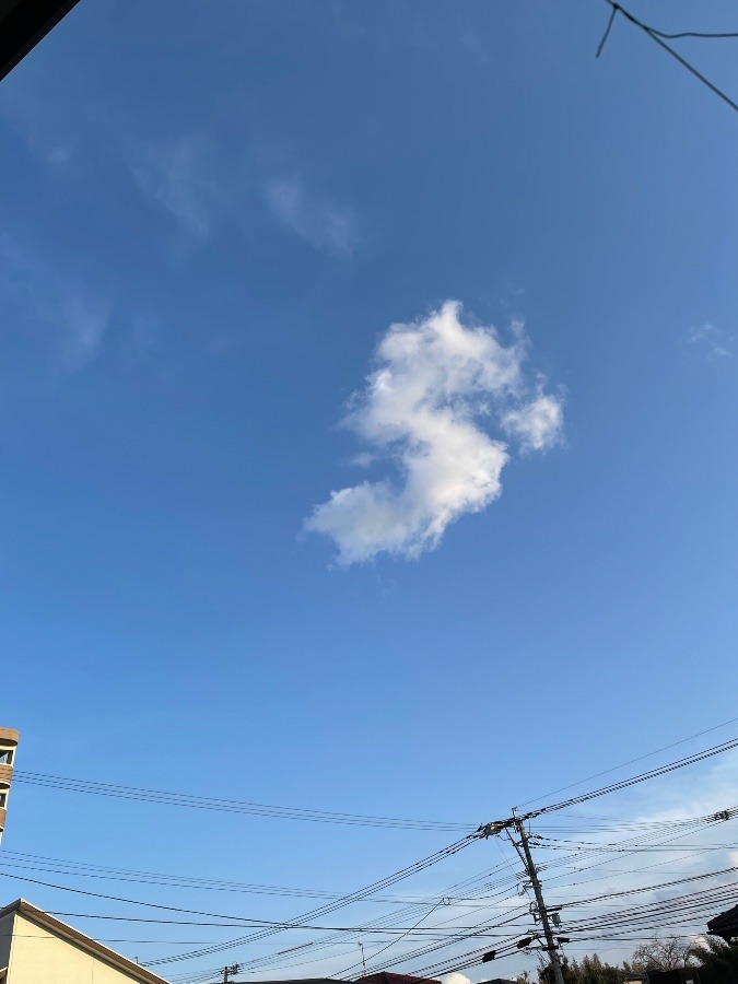 家からの空